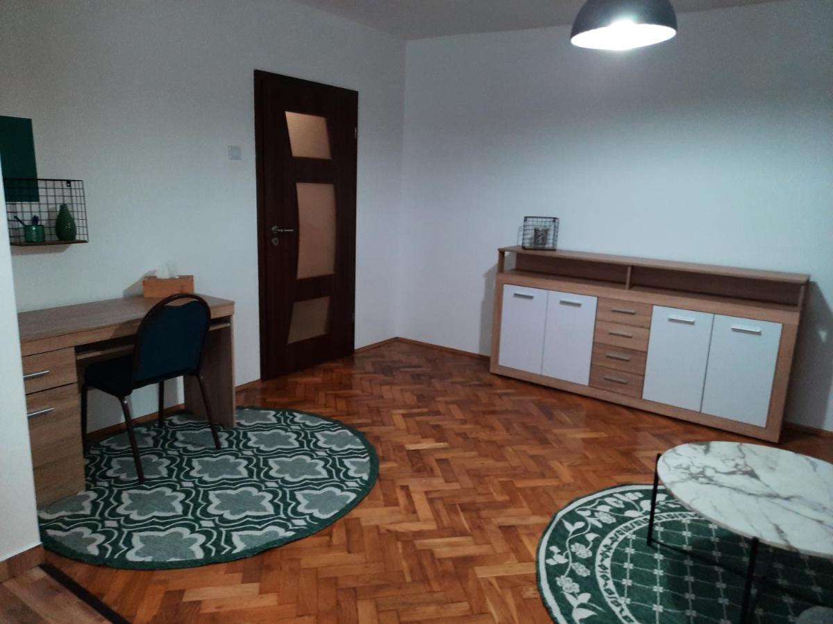 קלוז'-נאפוקה Cozy Three Rooms Apartment מראה חיצוני תמונה