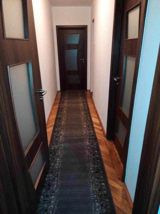 קלוז'-נאפוקה Cozy Three Rooms Apartment מראה חיצוני תמונה