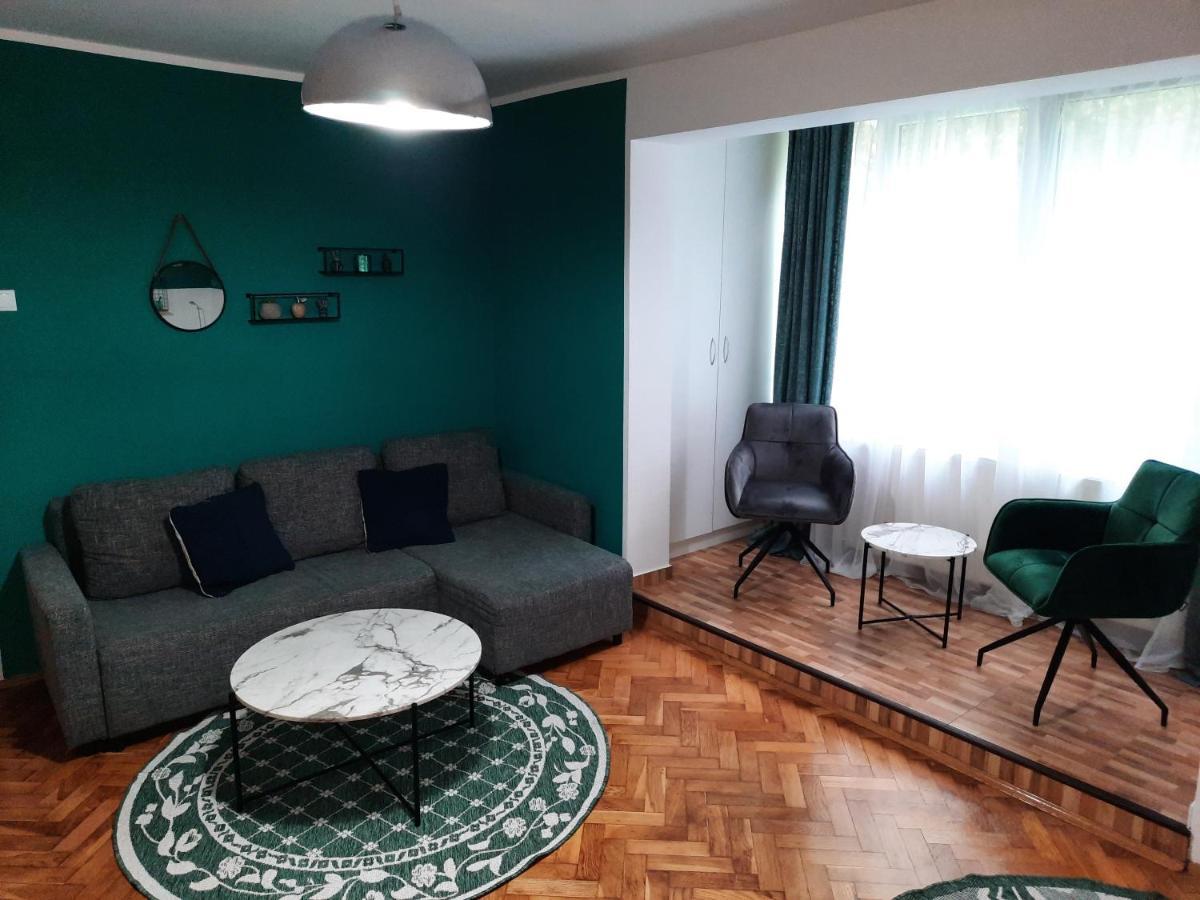 קלוז'-נאפוקה Cozy Three Rooms Apartment מראה חיצוני תמונה